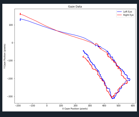 Gaze path.png