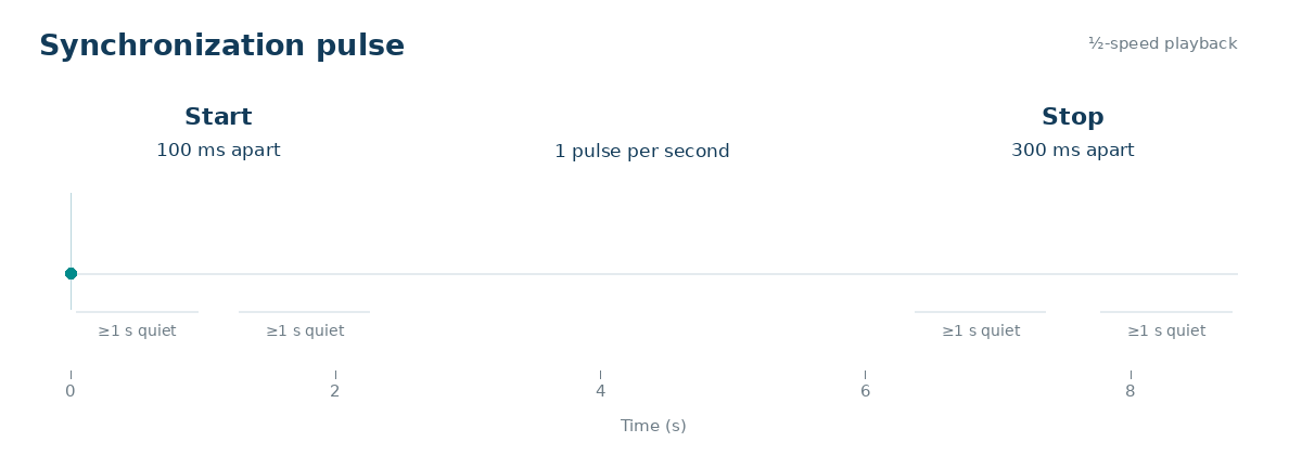 07_block_pulses_animation.gif