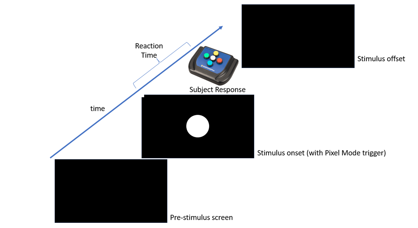 image-20261006-155529.png