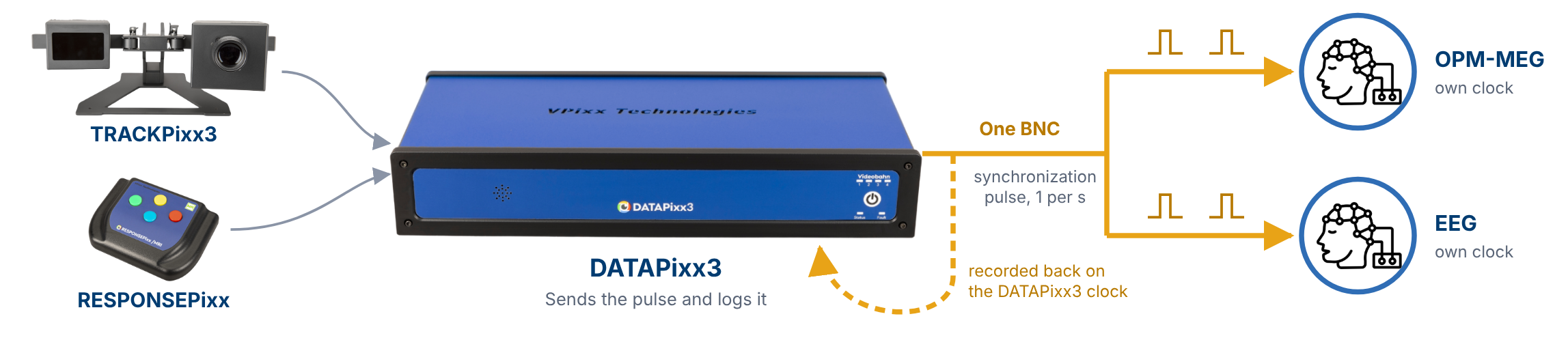 05b_hub_datapixx_eeg_claude_v2.png